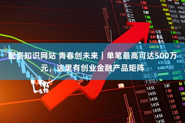 配资知识网站 青春创未来｜单笔最高可达500万元，这里有创业金融产品矩阵