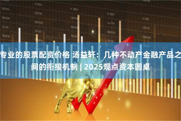 专业的股票配资价格 汤益轩：几种不动产金融产品之间的衔接机制 | 2025观点资本圆桌