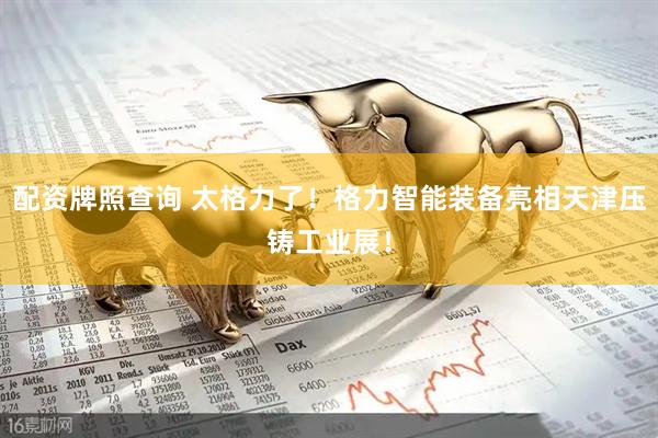 配资牌照查询 太格力了！格力智能装备亮相天津压铸工业展！